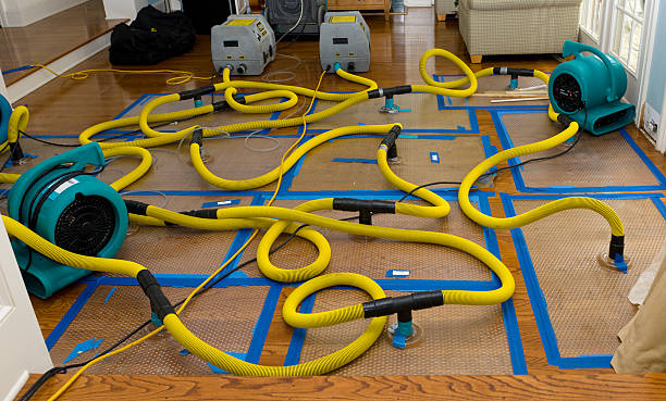 Professional Basement Flood Cleanup technician working in Spicewood, TX